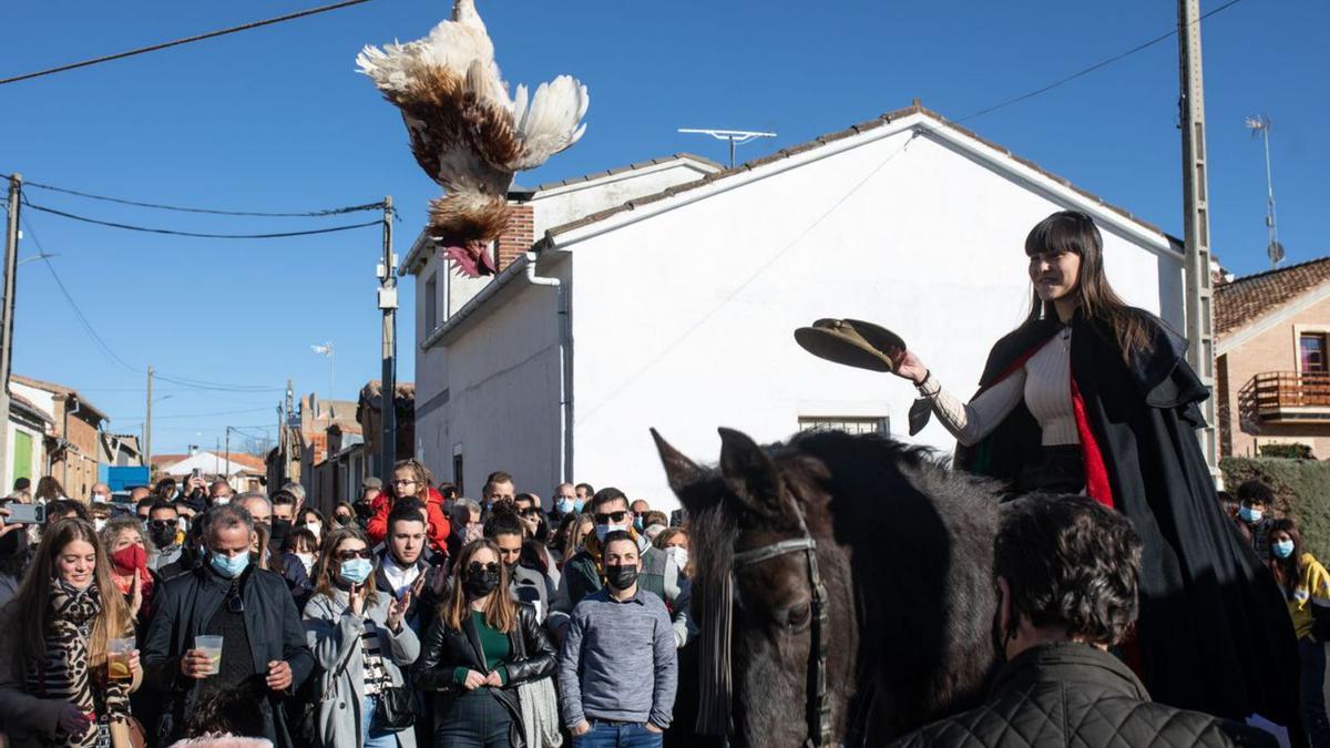 Las quinta echan las relaciones al gallo