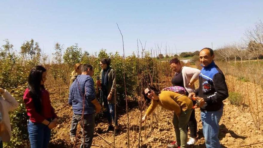 Alumnos del taller de empleo de Vega, en el vivero provincial