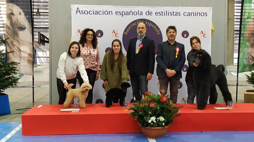 Premio para la peluquería canina &#039;Enredadog&#039;