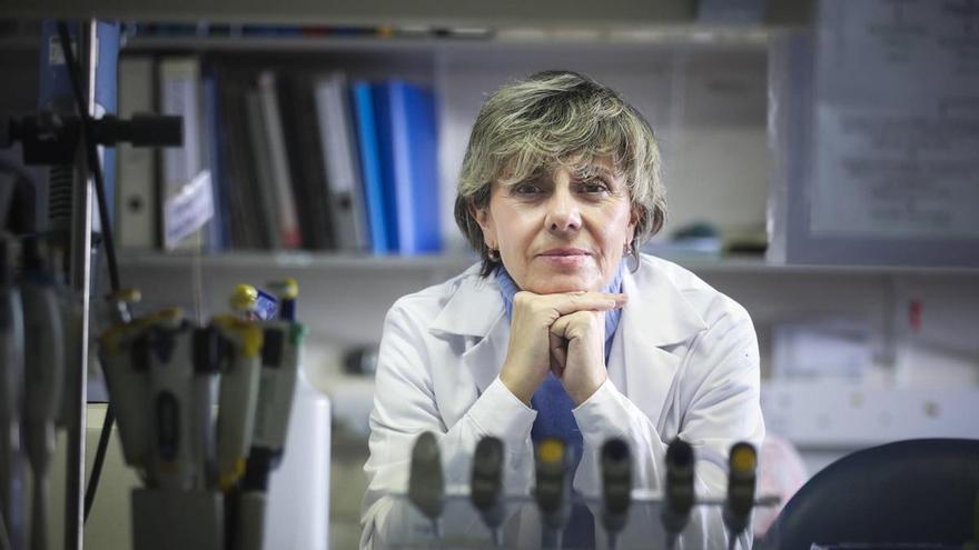 La neurocientífica Ana Coto Montes ofrece este viernes una charla en Langreo