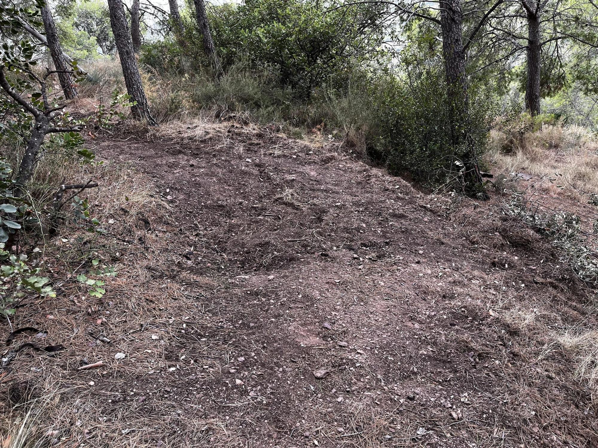 Las imágenes de la pista ilegal abierta en la Vilavella para practicar BTT