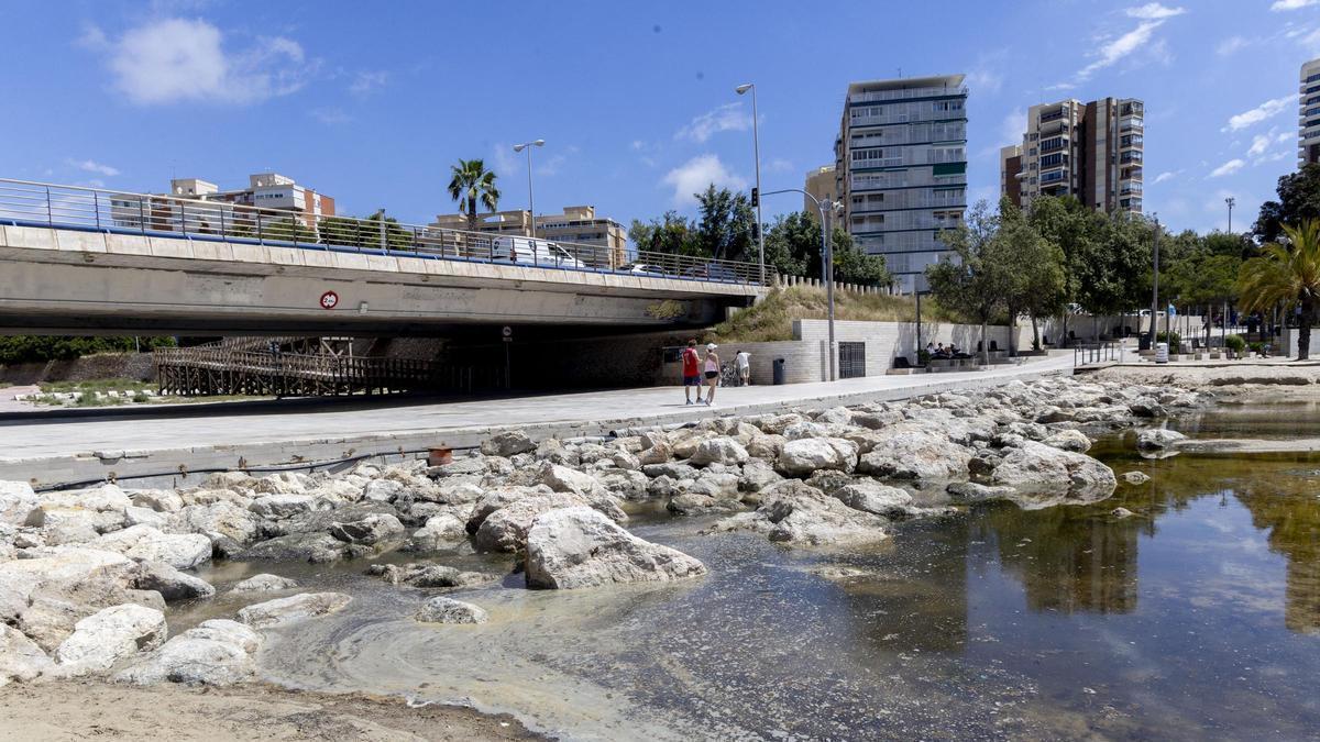 El agua estancada y los malos olores vuelven a dividir la Albufereta tras las lluvias en Alicante