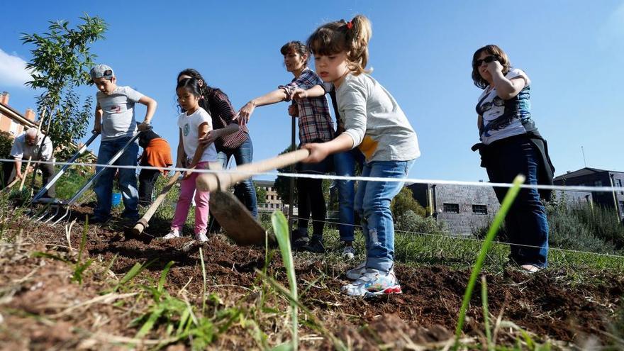 Un grupo de niños en el Bosque Comestible, en una imagen de archivo