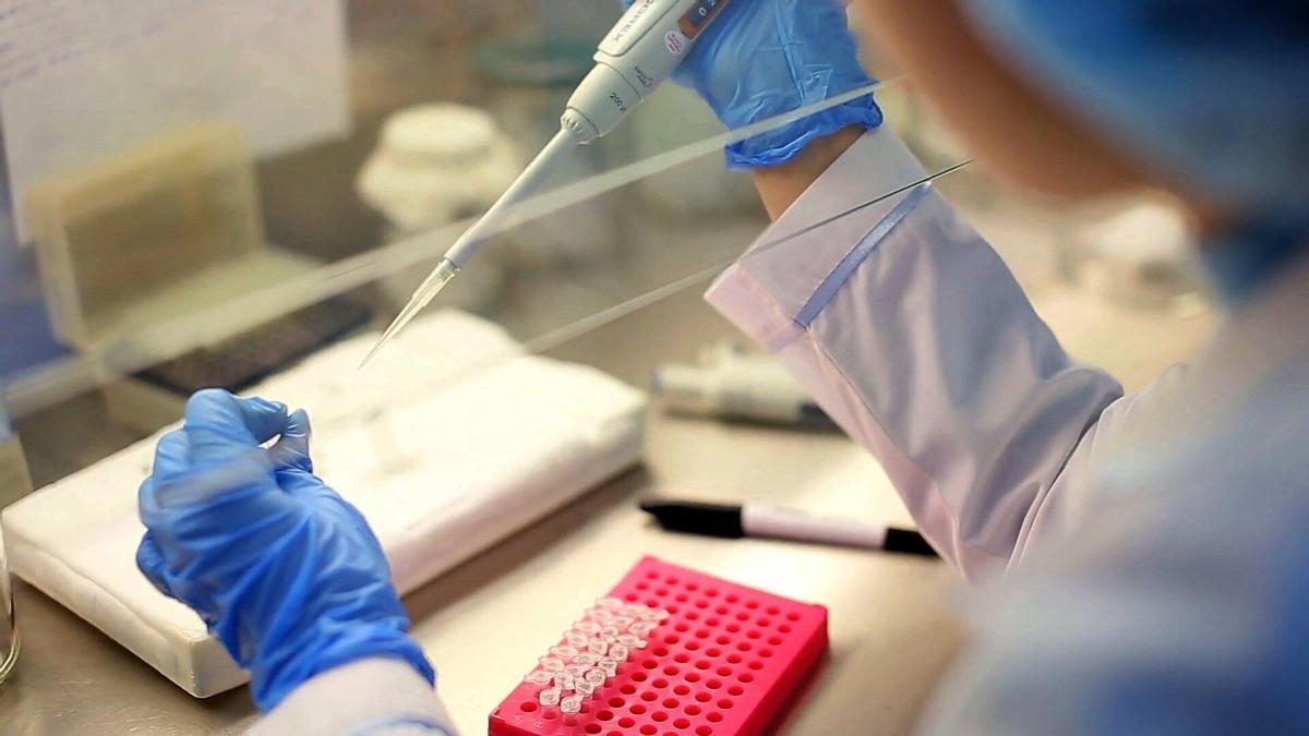 Un laboratorio, donde se analiza la presencia de microplásticos en el agua.