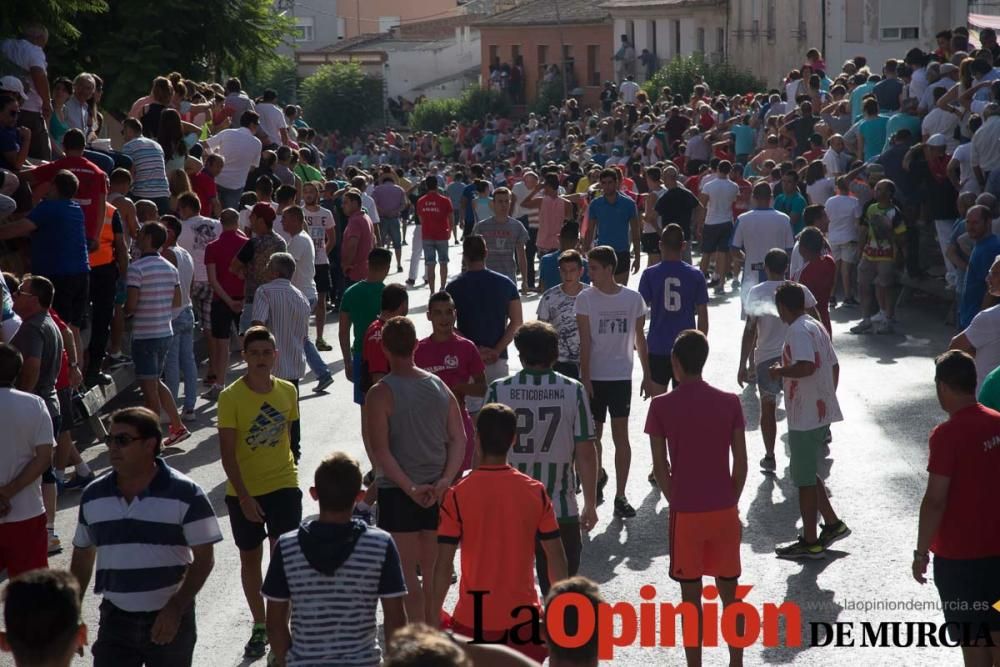 Segundo encierro de Calasparra