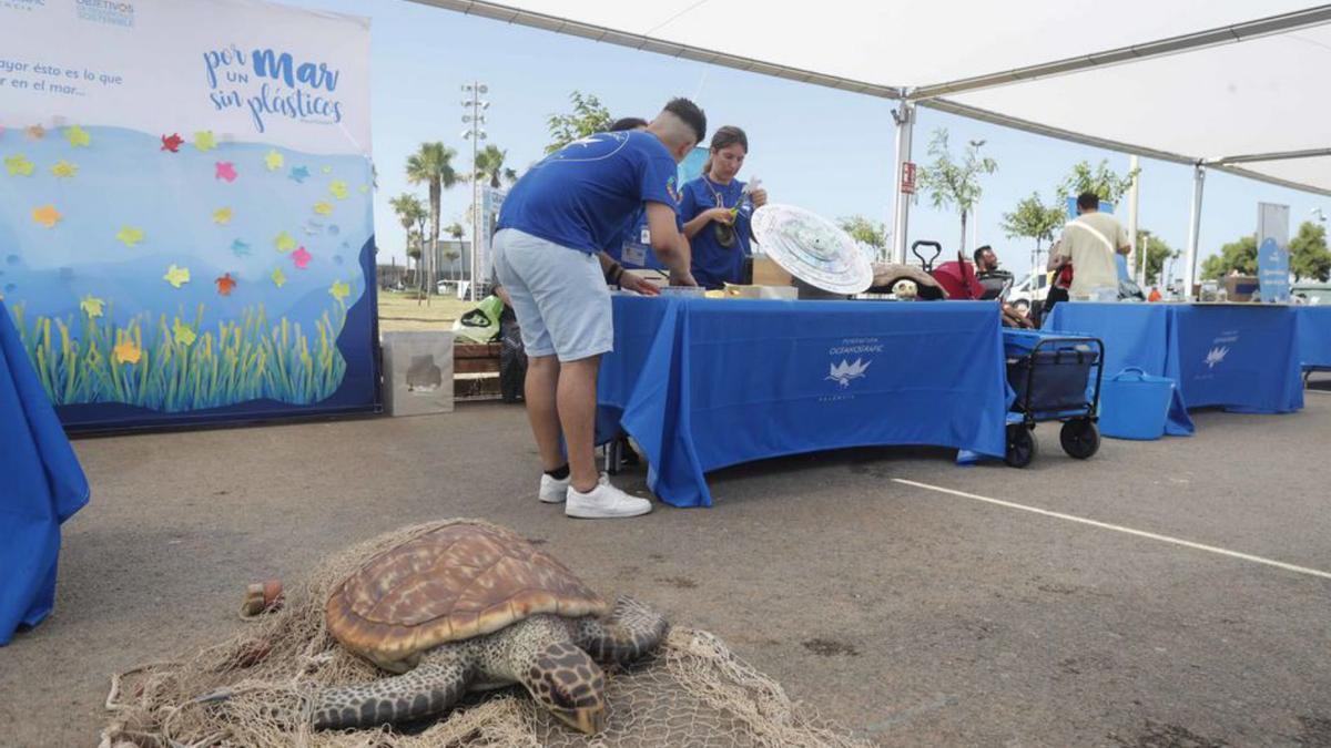 El Water Fest enseña con juegos a hacer un uso responsable del agua | J.M. LÓPEZ