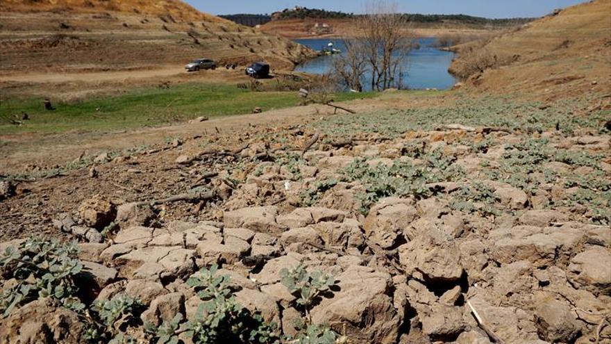 Córdoba contabiliza solo 105,6 litros en lo que va de año tras llover 24 días