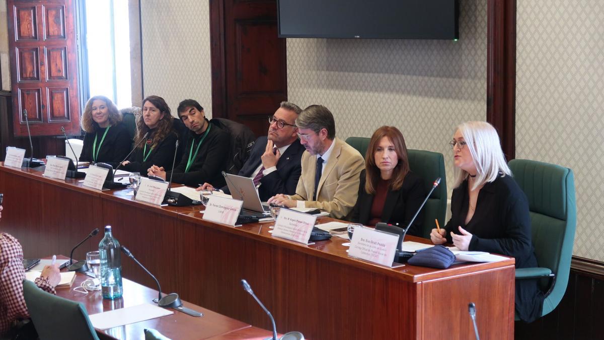 La Comisión de investigación sobre la actividad de la DGAIA, este lunes en el Parlament de Catalunya