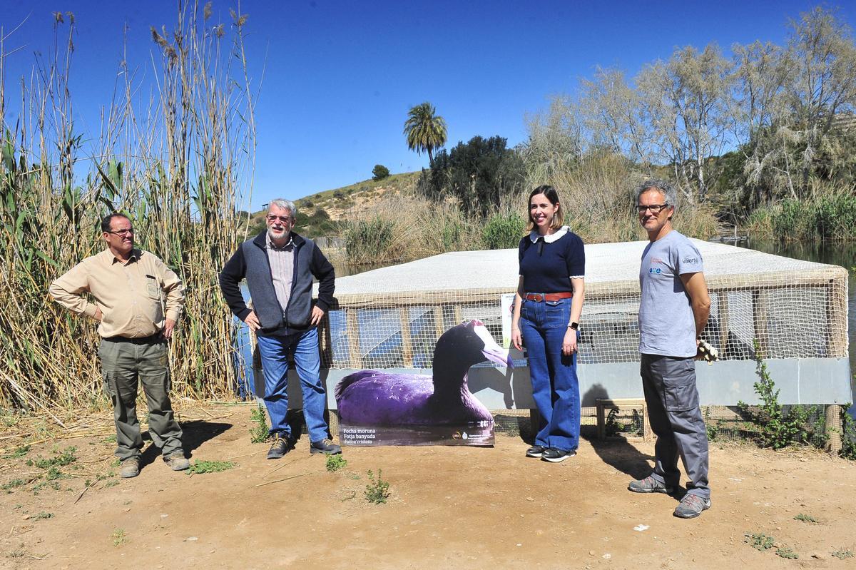 Responsables del proyecto para la recuperación de la focha moruna en El Clot.