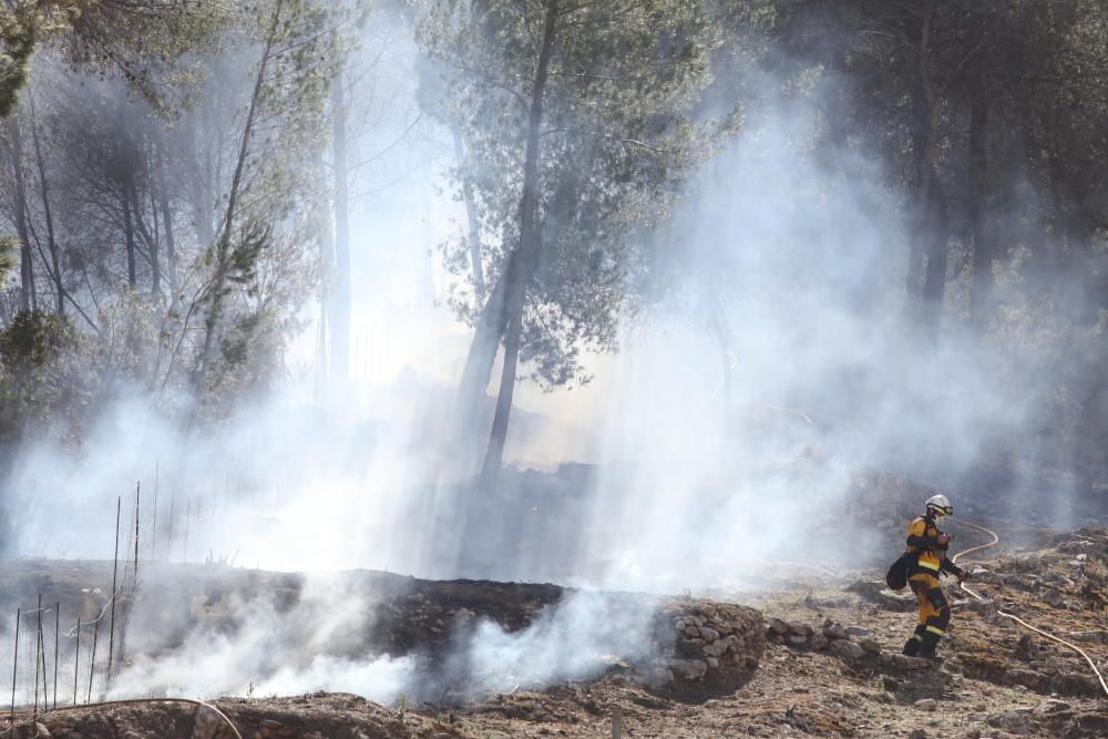 Incendio forestal en Sant Antoni