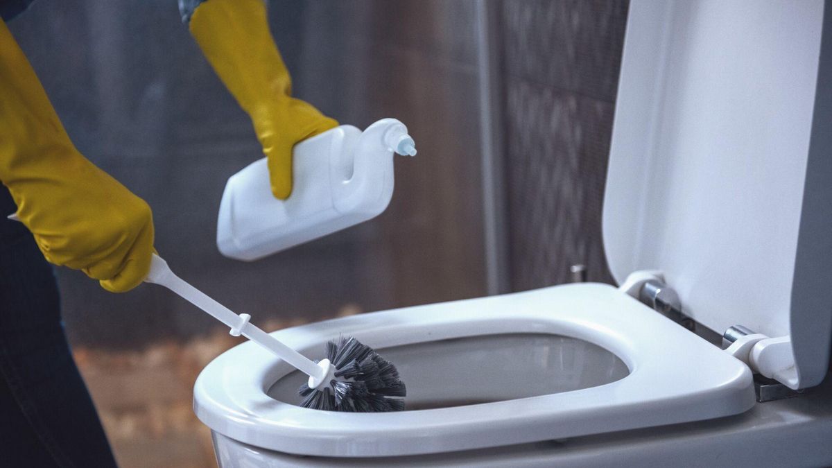 Estos son los cinco objetos de casa que pueden acumular hasta 15 veces más bacterias que el inodoro