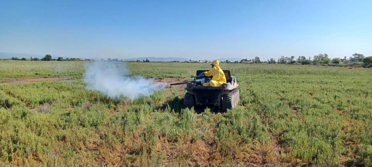 Nules segueix amb els treballs per al tractament preventiu de focus de mosquits.
