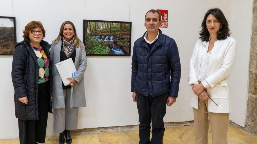 Tui acoge una exposición sobre los mejores bosques españoles