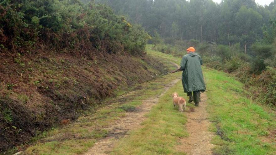 Un cazador recorre un camino forestal de Meaño, acompañado por su perro. |   // NOÉ PARGA