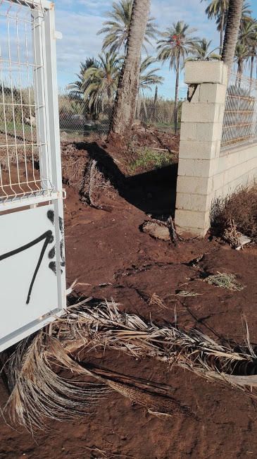 Salvemos Lo Ferrís asegura que le muro en la propiedad privada multiplicó los efectos de las precipitaciones al acumular el agua