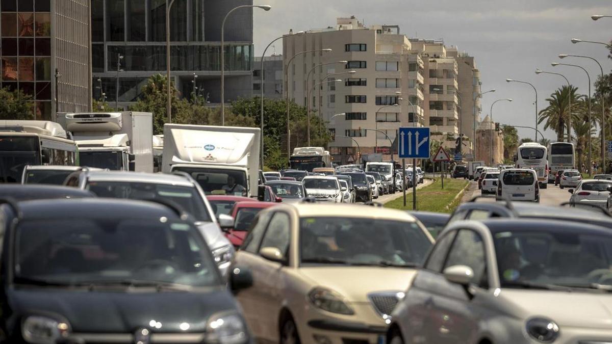 Més propone medidas contra el "colapso" de Palma.