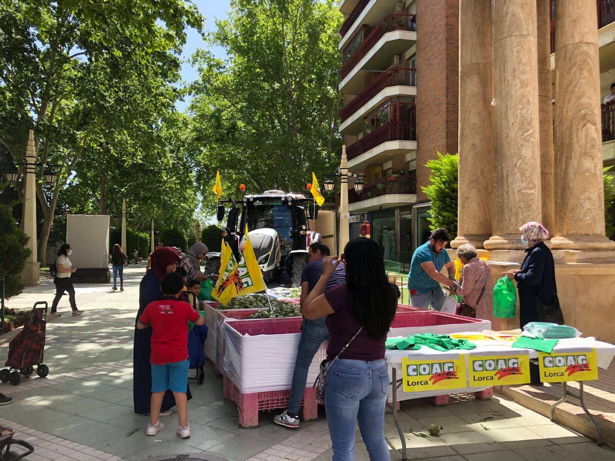 Entrega de alcachofas en Lorca