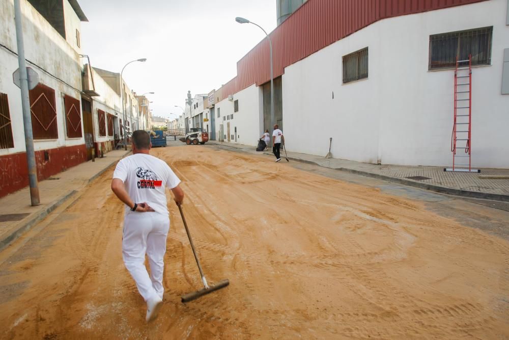 Un joven recortador, Rubén Quintanar, muere cornado por un toro en Paiporta