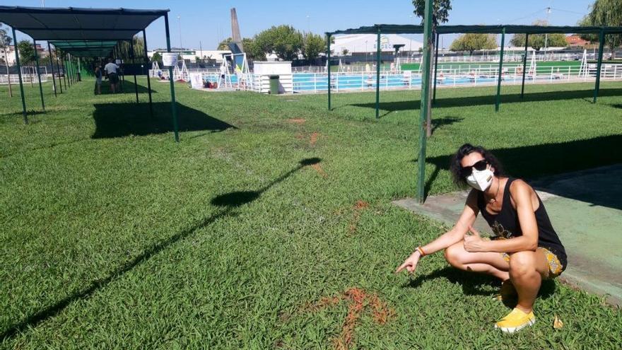 La &#039;normalidad&#039; de la piscina municipal placentina