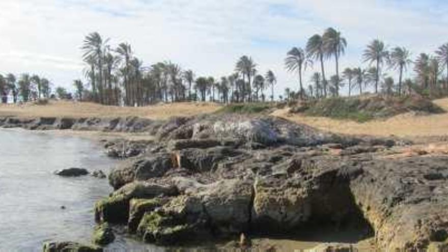 El palmeral y pinar de Ferrís junto al mar.