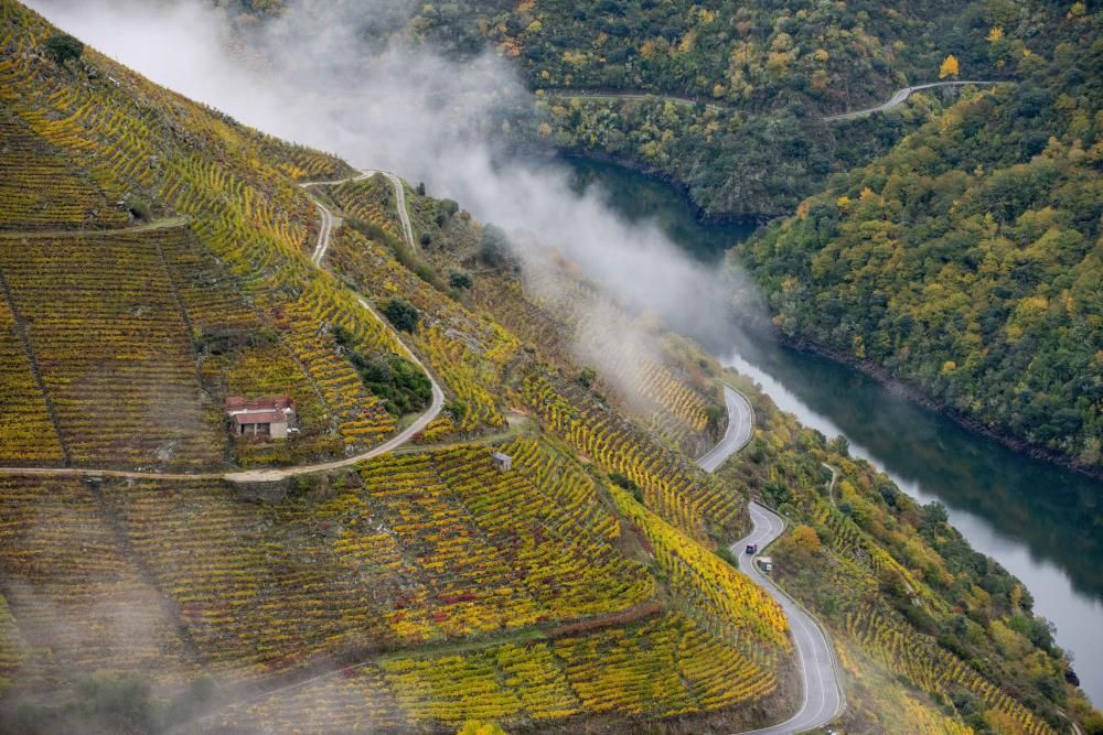 La Ribeira Sacra luce estos días unos hermosos colores otoñales // Brais Lorenzo