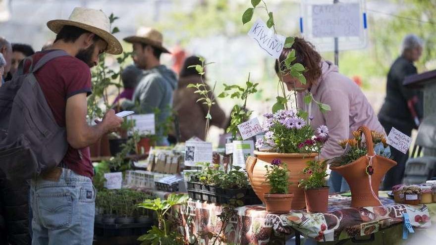 Un instante de la IX Feira de Sementes e Plantón Ecolóxicos celebrada ayer en Leboso. // Bernabé / Cris M.V.