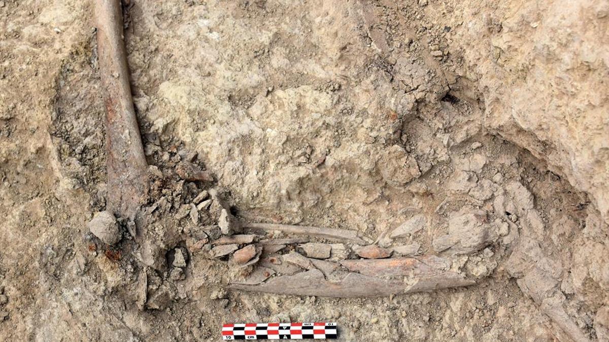 Restes òssies de soldats republicans de la Guerra Civil localitzades a la fossa de l'Era de Cal Lico, a Alentorn