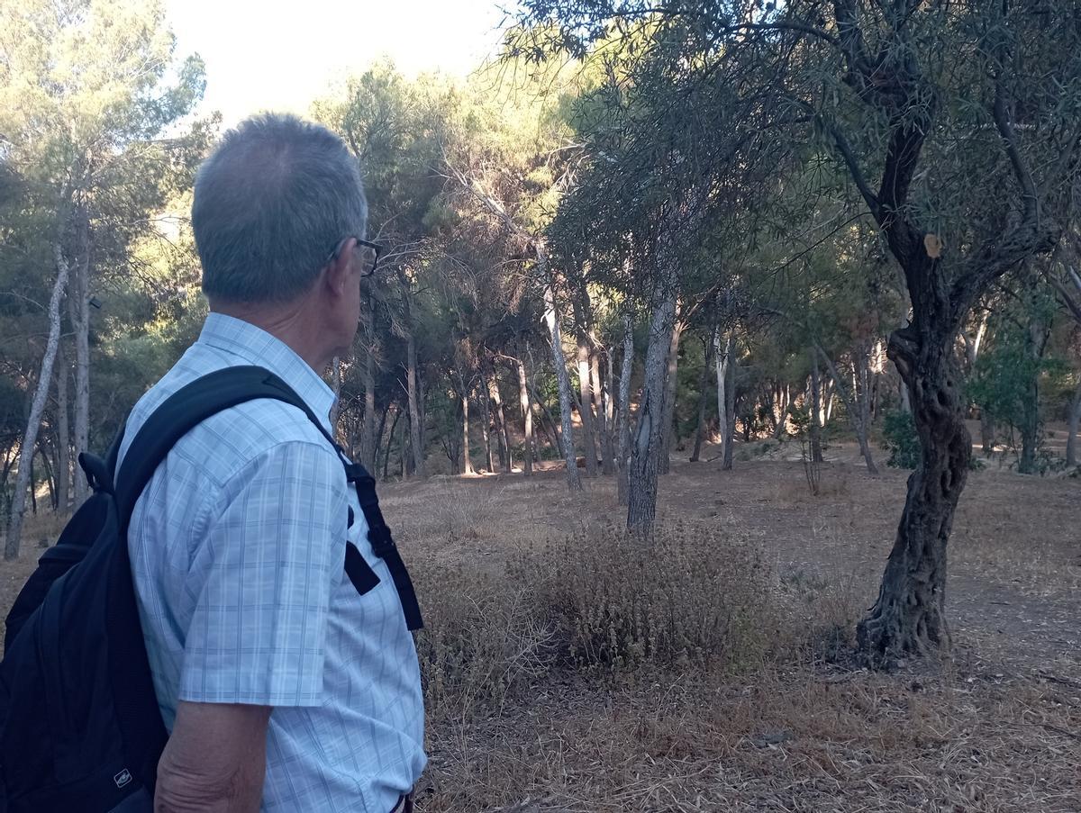 El académico de Ciencias Leandro Olalla, en un momento del paseo, con los pinos del parque forestal de fondo.