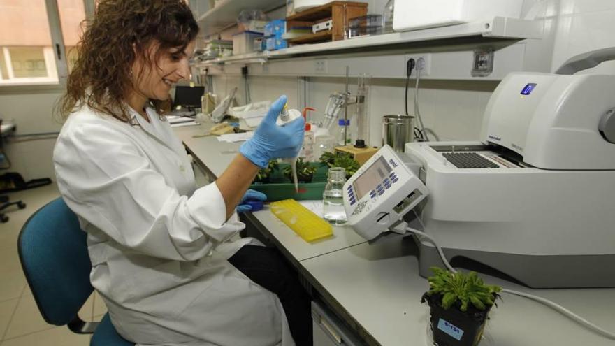 Cristina Martínez, en el laboratorio del Cebas-Csic.