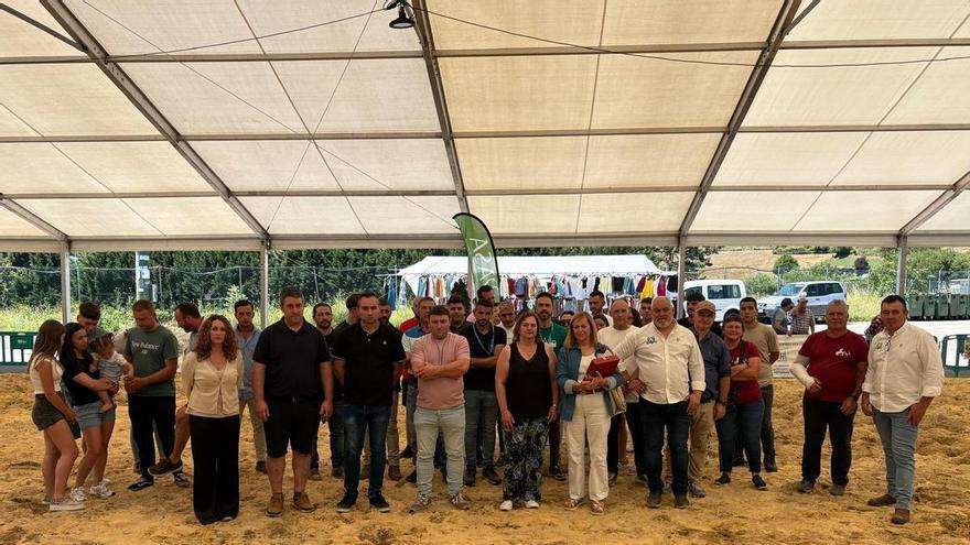 “Pandora de Mata” y “Vistoso Rosa IV”, los mejores pura raza española en el concurso de caballos de Tineo