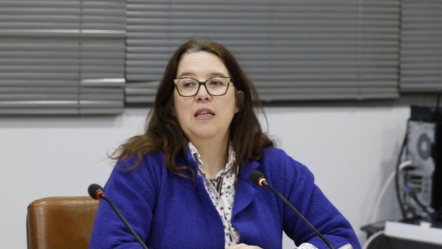 El PP tilda de "alarmismo infundado" las críticas de IU al estado de las cuentas de Castrillón