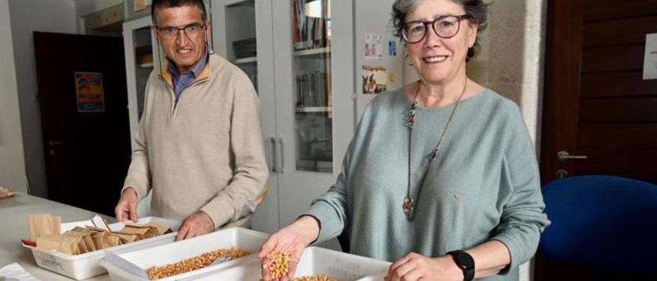 Los científicos Pedro Revilla y Rosa Ana Malvar, ayer en el laboratorio de maíz de la MBG.   | // R. VÁZQUEZ