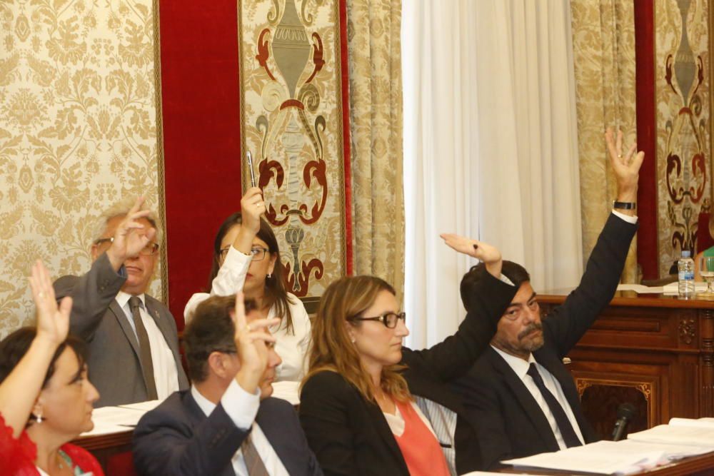 Pleno en el Ayuntamiento de Alicante