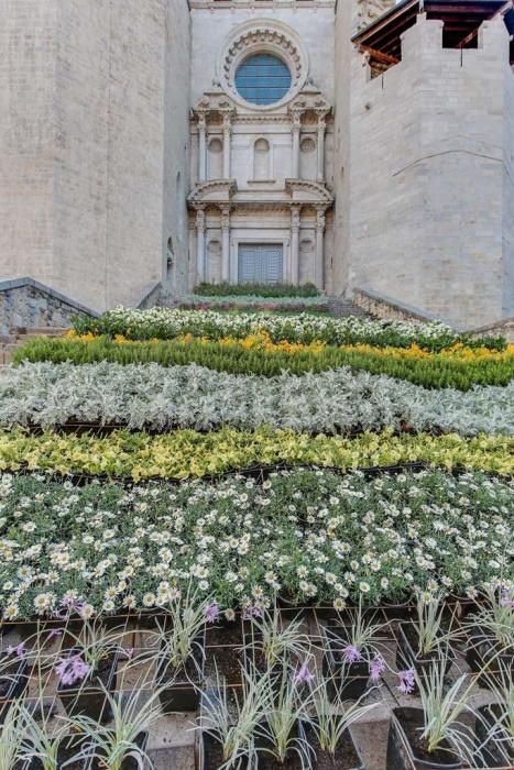 Consulta les millors imatges del llibre "Girona, Temps de Flors 2018"