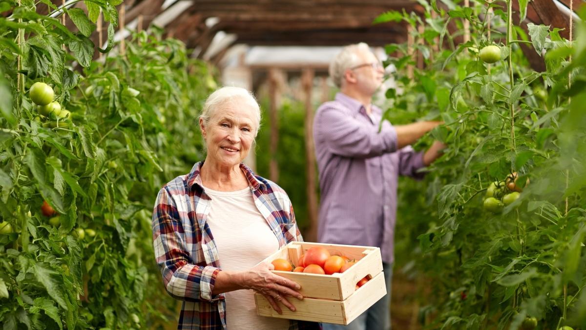 Durante tu viaje a Andalucía puedes aprender cómo se trabaja en el campo, hacer tu propio queso artesanal, recolectar miel.