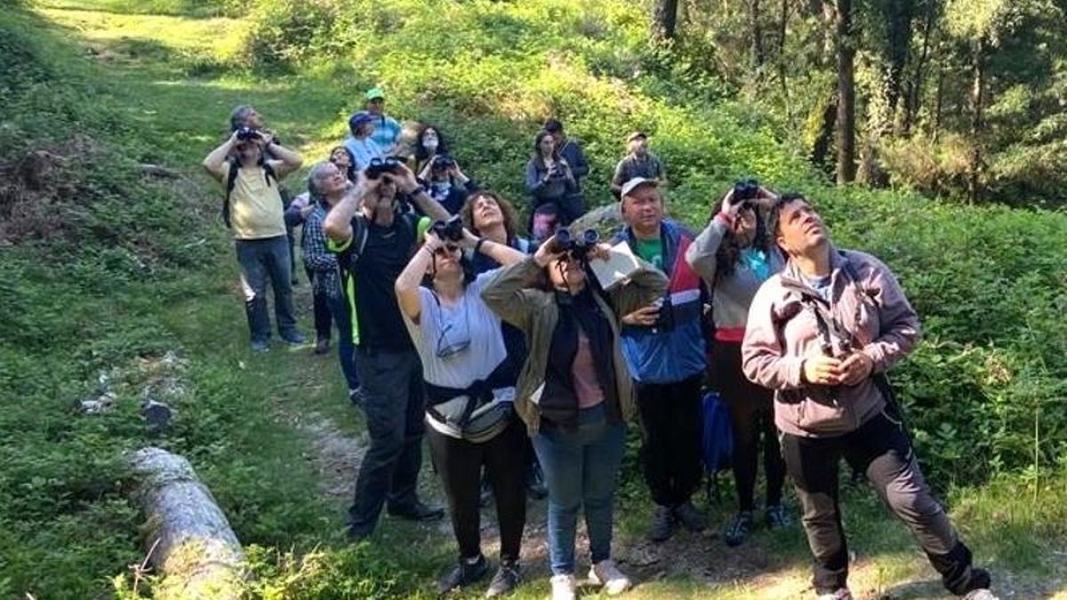 Una ruta en la Reserva Ornitológica de O Grove.