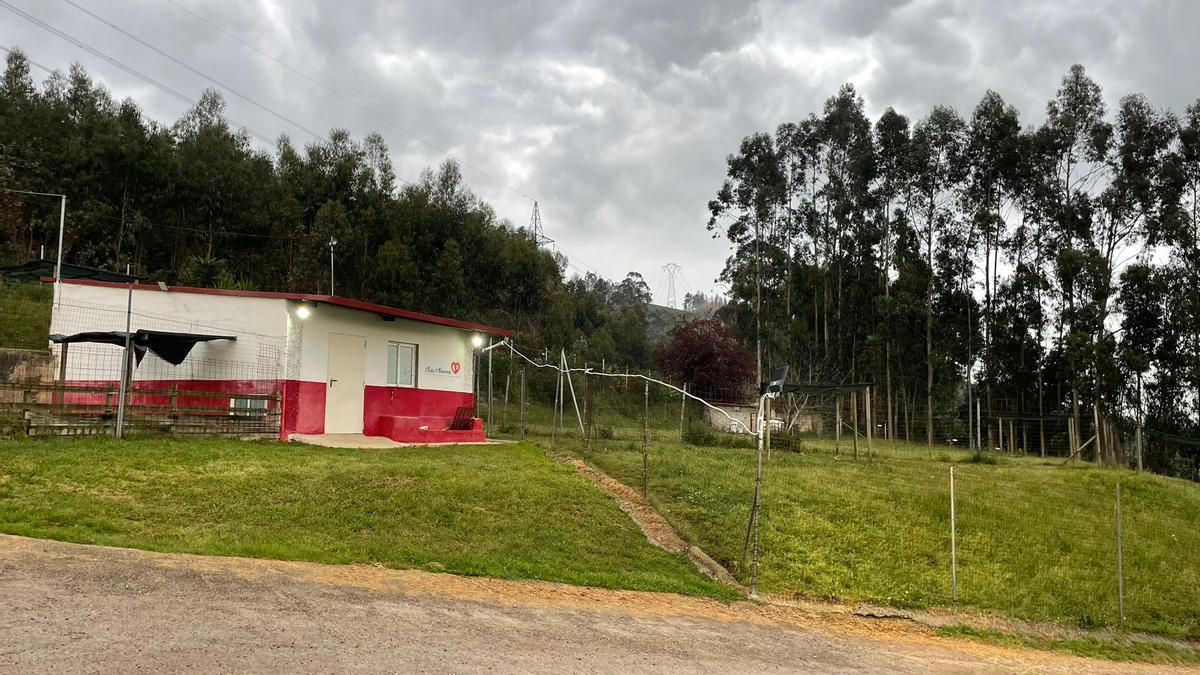 Criadero de perros de Serín donde se ha llevado la operación de la Guardia Civil.