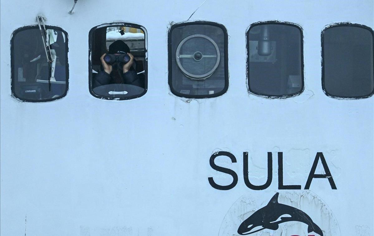 El capitán noruego Olav Magne buscando orcas desde la embarcación Sula, en la región del fiordo Reisafjorden (Noruega)