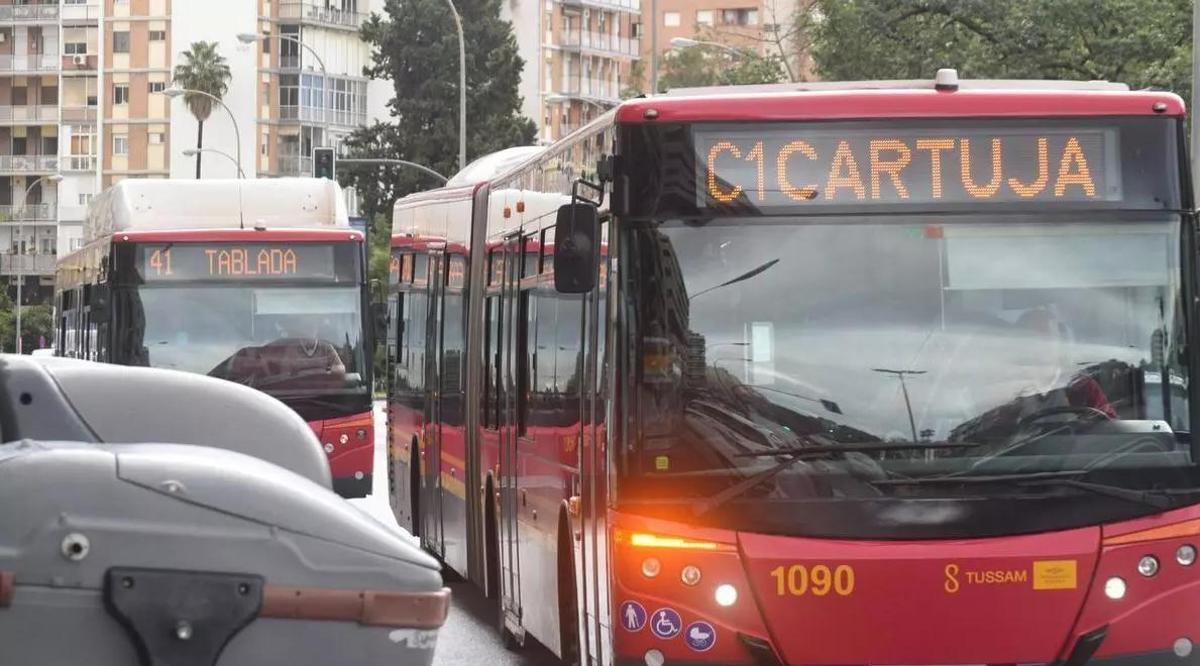 Autobús C1 de Tussam en una imagen de archivo.