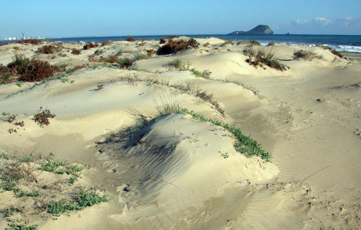 Sistema dunar en La Manga del Mar Menor.
