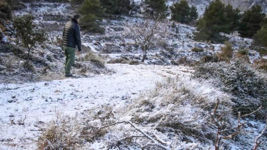 La nieve volvió a dejarse ver ayer tras la tregua de las últimas dos semanas.