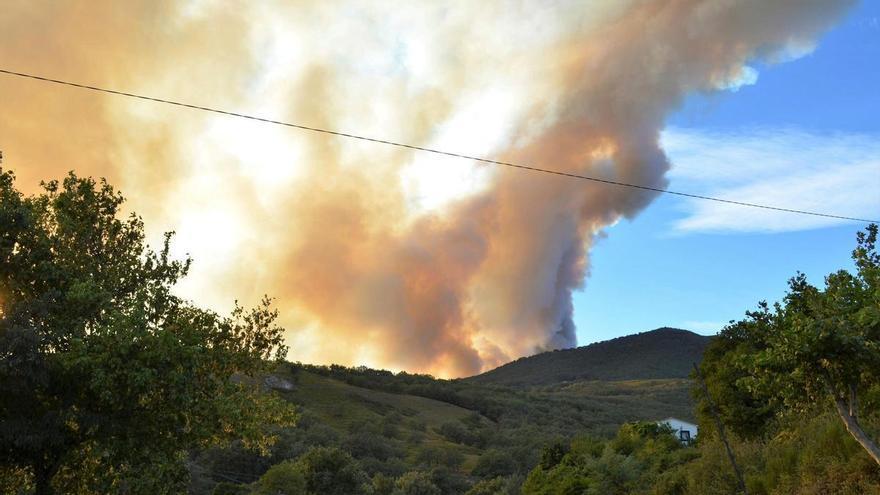 A juicio en Cáceres el acusado de provocar siete incendios en menos de dos horas en el Valle del Jerte: un castaño centenario, entre los daños