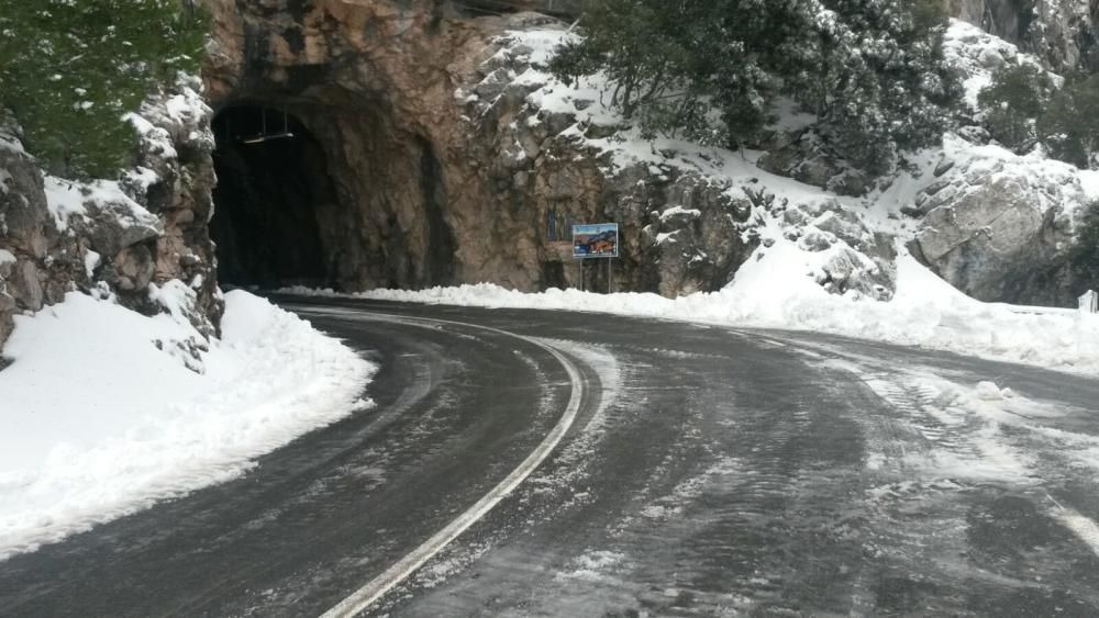 Mallorca, en riesgo importante por nevadas este sábado