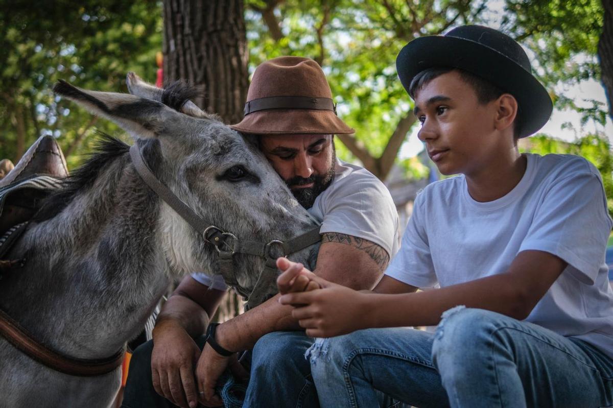 Noche de los Burros en La Laguna, julio de 2022 Noche de los Burros en La Laguna, julio de 2022