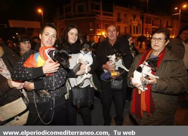 GALERÍA DE FOTOS - Bendición de los animales por Sant Antoni en Vila-real