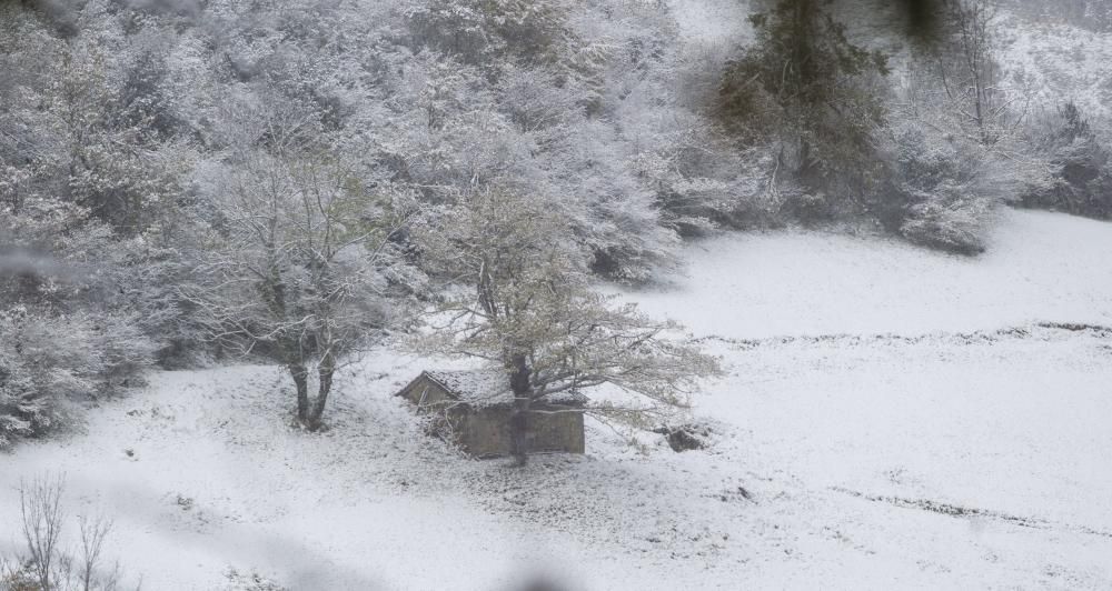 Nieve en el puerto de Ventana