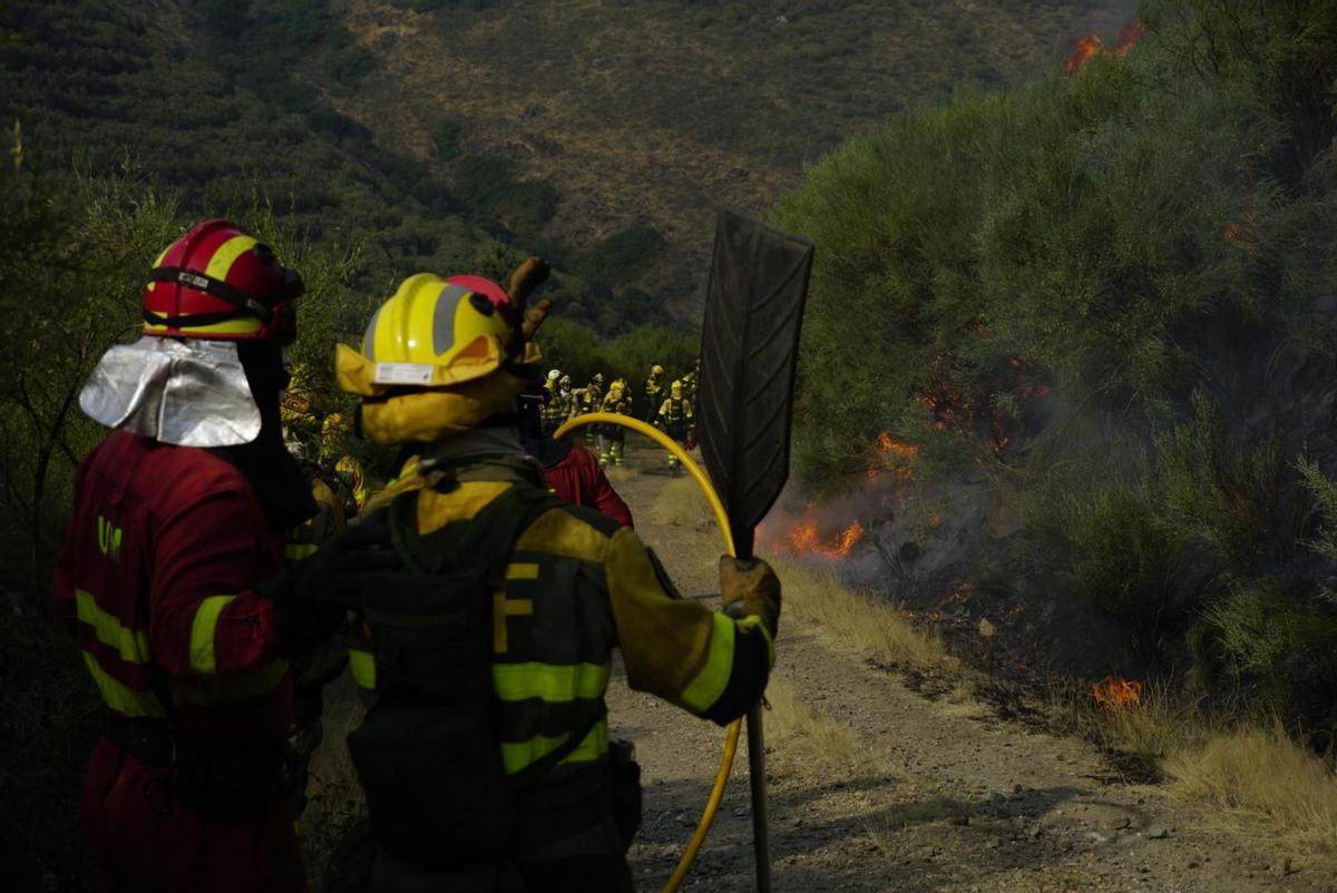 Los héroes del incendio de Jarilla, homenajeados por los vecinos del Pilar de Plasencia.