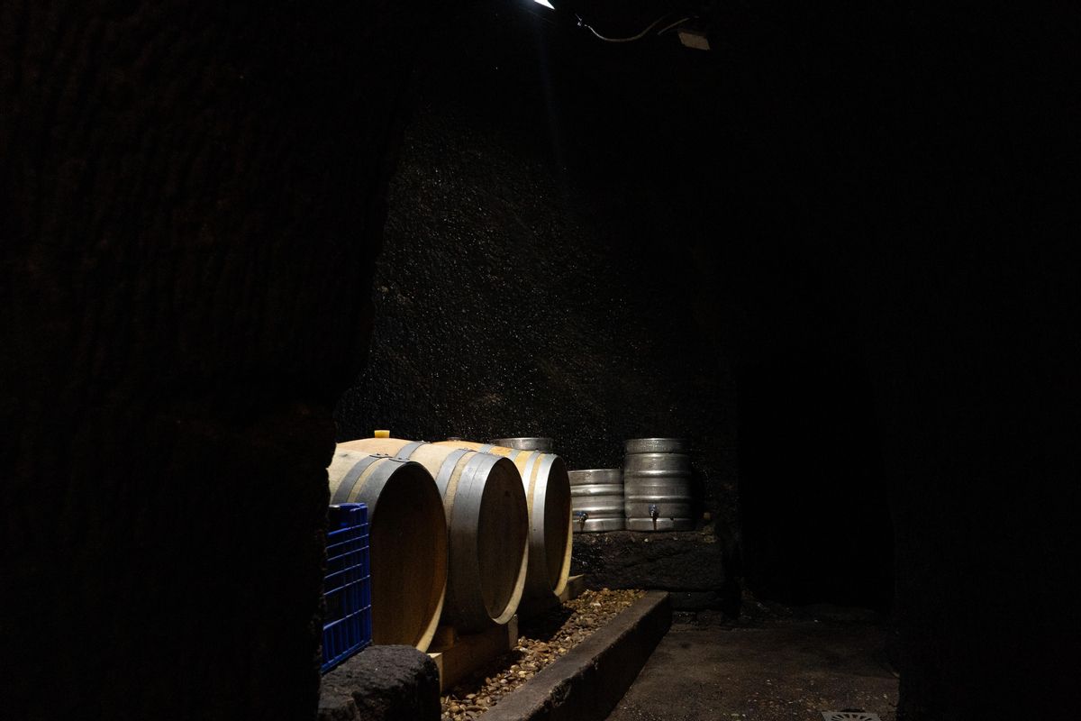 Bodega de Fermoselle
