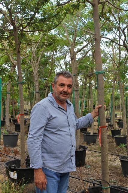 „Árboles de Mallorca“ bei Biniali: von den kleinen Pflanzen zu den großen Bäumen.