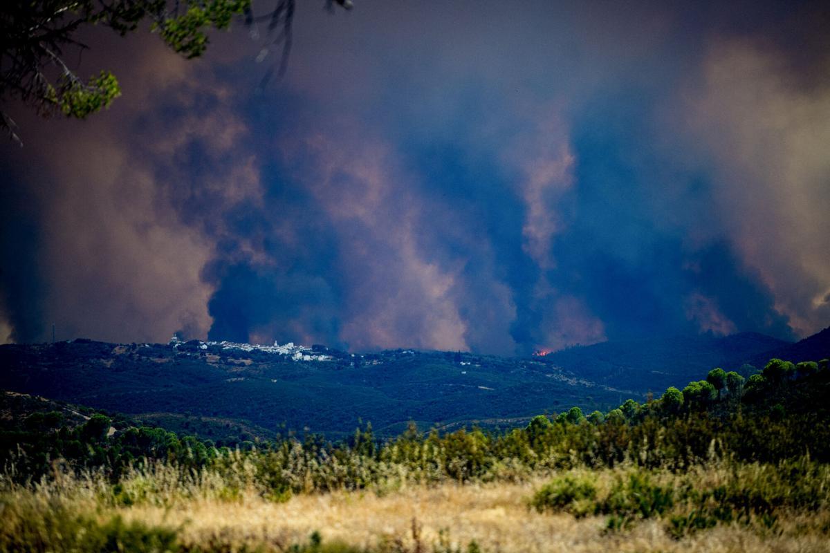 EL MADROÑO (SEVILLA), 09/08/2026.- El incendio de Niebla, en Huelva, ha recorrido un perímetro de 44 kilómetros con unas 8.000 hectáreas, presenta dos frentes activos y mantiene desalojadas a un total de 467 personas. EFE/Mauri Buhigas EL MADROÑO (SEVILLA), 09/08/2026.- El incendio de Niebla, en Huelva, ha recorrido un perímetro de 44 kilómetros con unas 8.000 hectáreas, presenta dos frentes activos y mantiene desalojadas a un total de 467 personas. EFE/Mauri Buhigas